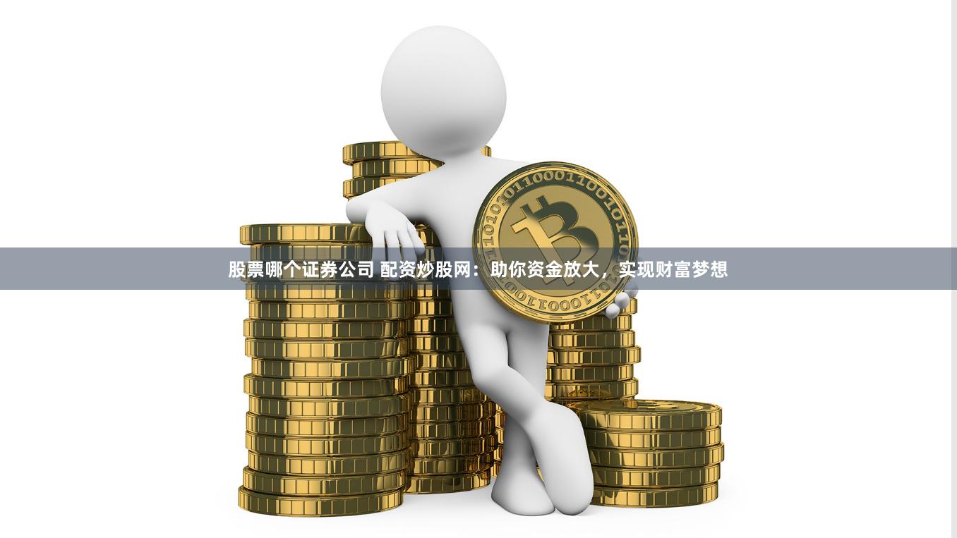 股票哪个证券公司 配资炒股网：助你资金放大，实现财富梦想