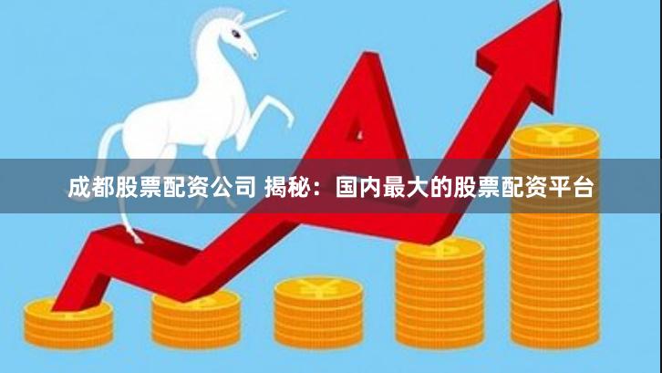 成都股票配资公司 揭秘：国内最大的股票配资平台